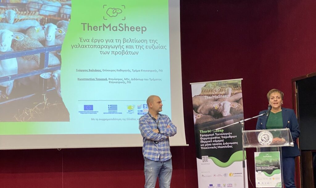 Ημερίδα παρουσίασης του έργου “Thermasheep” στο Αμύνταιο, Φλώρινας